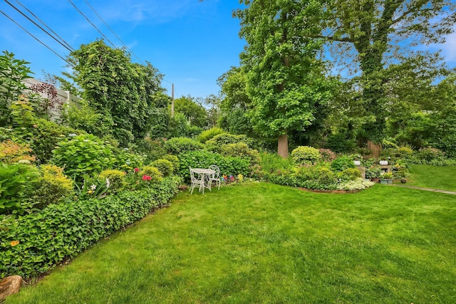 48 Marlene Dr, Syosset, NY 11791 - view of green lawn
