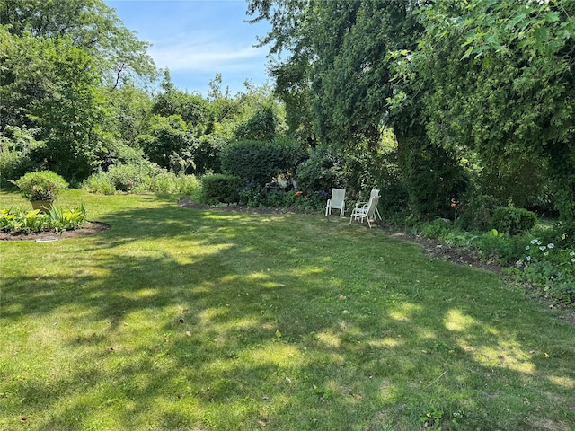 48 Marlene Dr, Syosset, NY 11791 - view of grassy yard