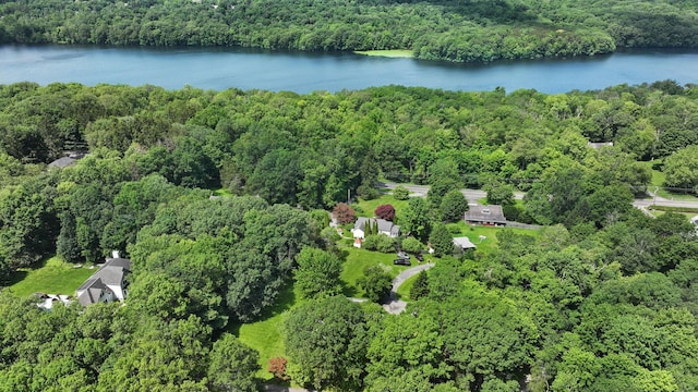 2 Gerri Ct, Wallkill, NY 12589 - aerial overview of property's location with a forest and a nearby body of water