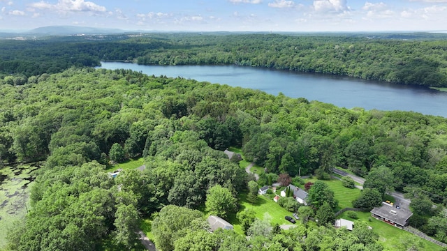 2 Gerri Ct, Wallkill, NY 12589 - view of property location featuring a forest and a large body of water