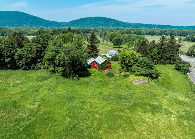 7668 Rte 82, Pine Plains, NY 12567 - photo 2