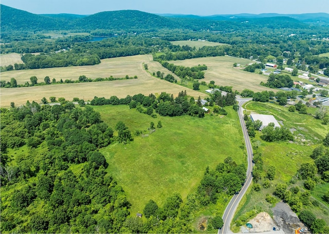 7668 Rte 82, Pine Plains, NY 12567 - photo 3