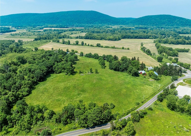 7668 Rte 82, Pine Plains, NY 12567 - photo 4