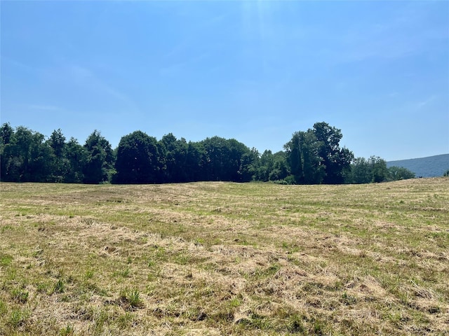 7668 Rte 82, Pine Plains, NY 12567 - photo 30