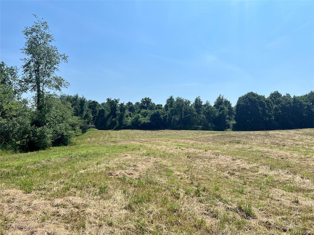 7668 Rte 82, Pine Plains, NY 12567 - photo 31