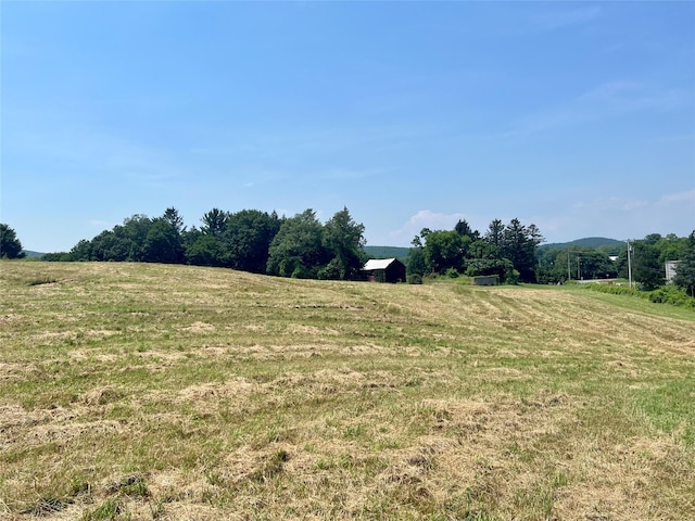 7668 Rte 82, Pine Plains, NY 12567 - photo 32