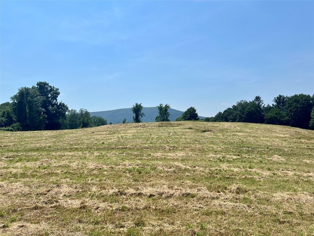7668 Rte 82, Pine Plains, NY 12567 - photo 33