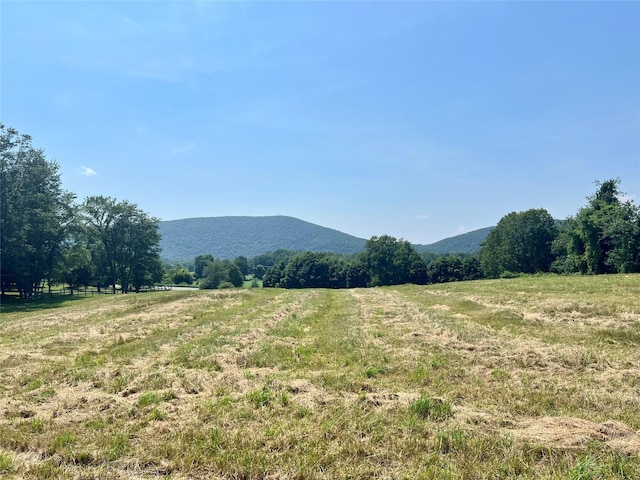 7668 Rte 82, Pine Plains, NY 12567 - photo 35