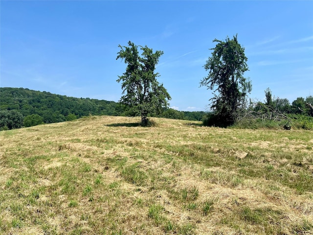 7668 Rte 82, Pine Plains, NY 12567 - photo 36