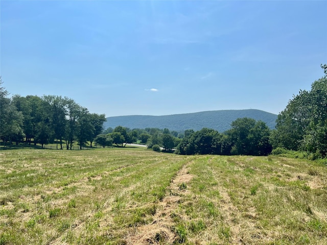 7668 Rte 82, Pine Plains, NY 12567 - photo 37