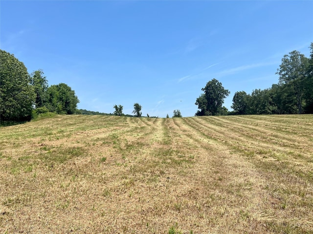 7668 Rte 82, Pine Plains, NY 12567 - photo 38