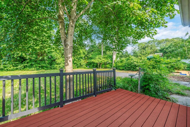37 Cleary Rd, Ronkonkoma, NY 11779 - photo 24
