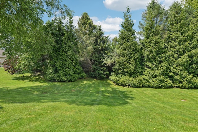 17 Meadow Pond Cir, Miller Place, NY 11764 - view of green lawn