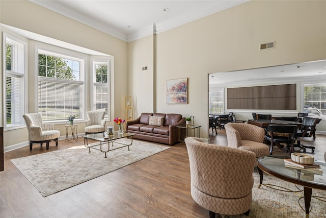17 Meadow Pond Cir, Miller Place, NY 11764 - living room featuring wood finished floors, ornamental molding, and a high ceiling