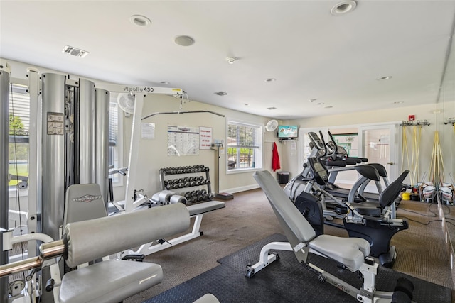 17 Meadow Pond Cir, Miller Place, NY 11764 - gym featuring recessed lighting and carpet flooring