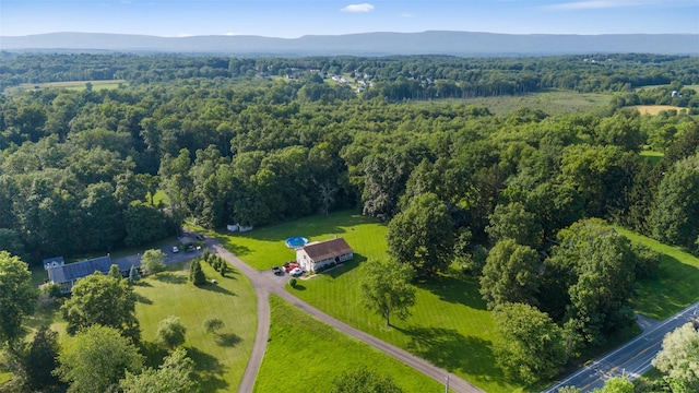 181 Collabar Rd, Montgomery, NY 12549 - photo 21