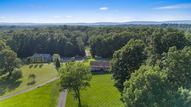 181 Collabar Rd, Montgomery, NY 12549 - photo 22