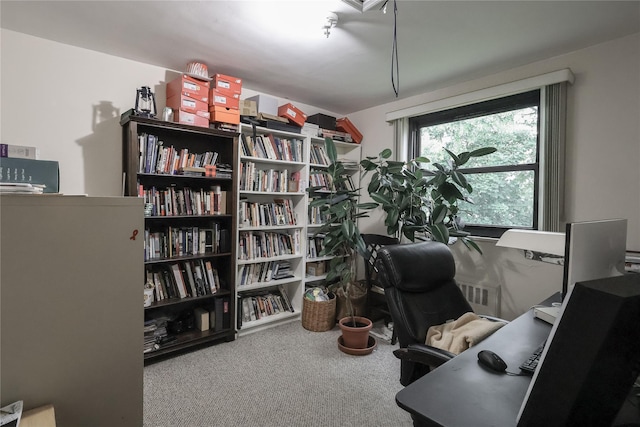 160-54 Willets Point Blvd Unit 4-206, Whitestone, NY 11357 - office area with carpet