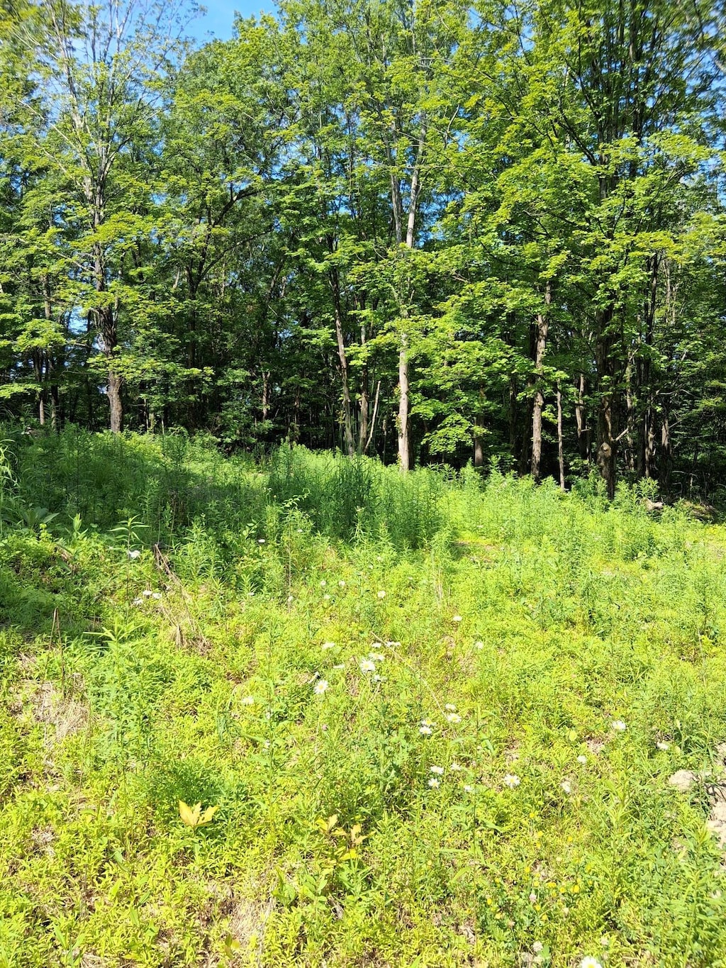 Whalesback Rd, Red Hook, NY 12571