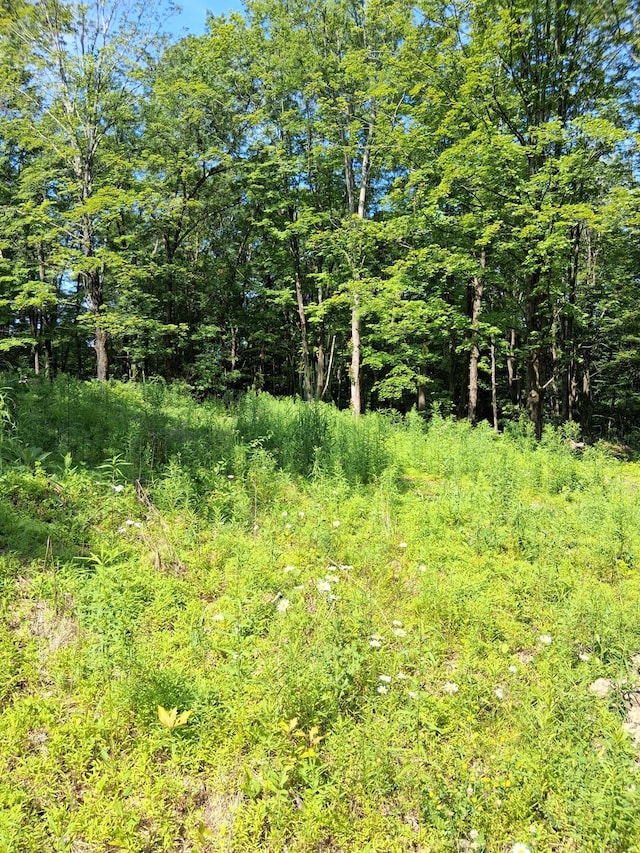 Whalesback Rd, Red Hook, NY 12571