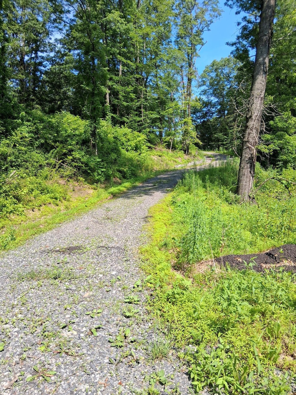Whalesback Rd, Red Hook, NY 12571