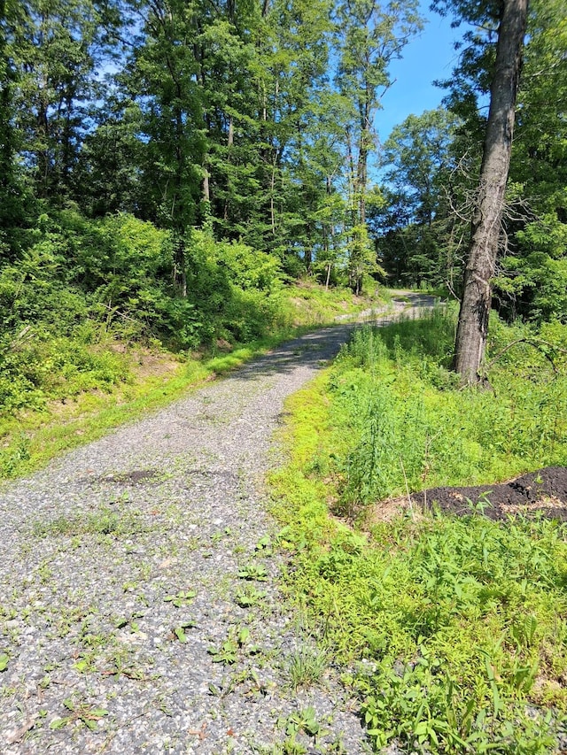 Whalesback Rd, Red Hook, NY 12571