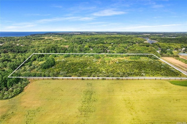 4935 Bergen Ave, Mattituck, NY 11952 - view of property location featuring property boundaries highlighted and a forest