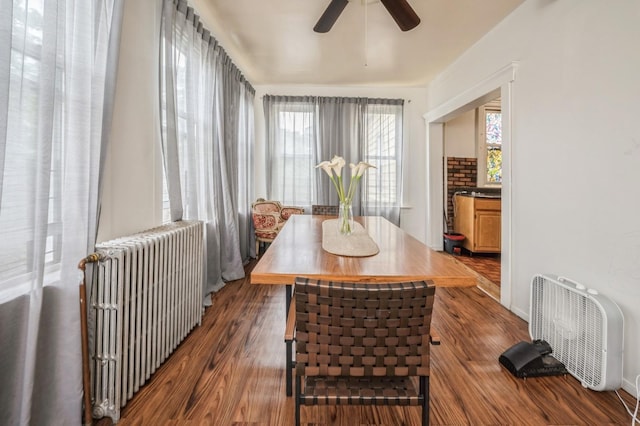 845 Kinsella St, Bronx, NY 10462 - dining space featuring radiator heating unit, a ceiling fan, and dark wood finished floors