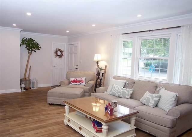 341 Thrift St, Ronkonkoma, NY 11779 - living room featuring crown molding, wood finished floors, and recessed lighting