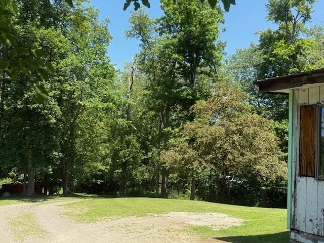 57 Van Vlack Rd, Hopewell Junction, NY 12533 - photo 6