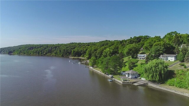 235 Tilden St, Esopus, NY 12429 - photo 27