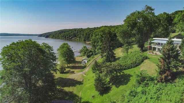 235 Tilden St, Esopus, NY 12429 - photo 31