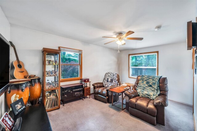 5 Flower Ave, Holtsville, NY 11742 - photo 23