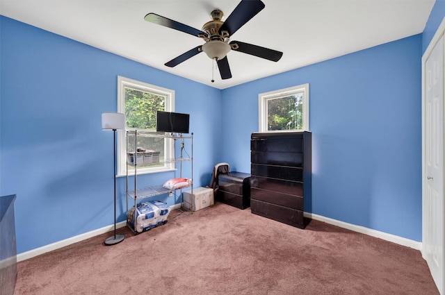 15 Claremont Trl, Monroe, NY 10950 - miscellaneous room with carpet flooring and ceiling fan