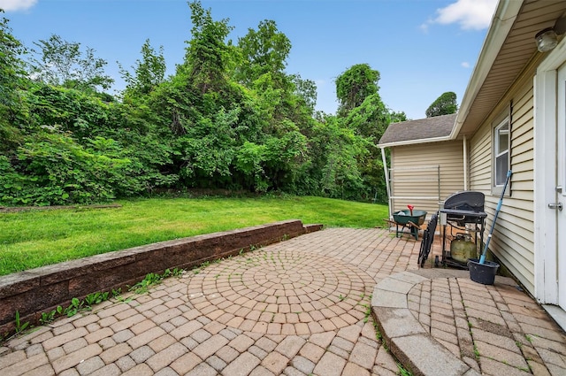 15 Claremont Trl, Monroe, NY 10950 - view of patio featuring a grill
