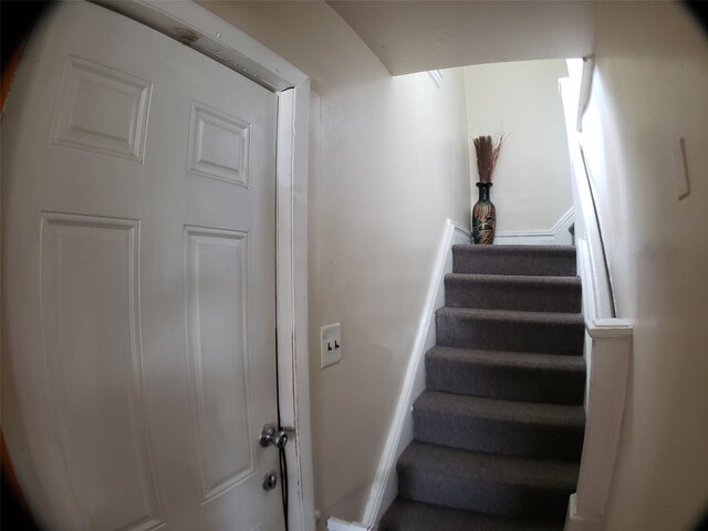 96-01 220th St, Queens Village, NY 11429 - photo 21