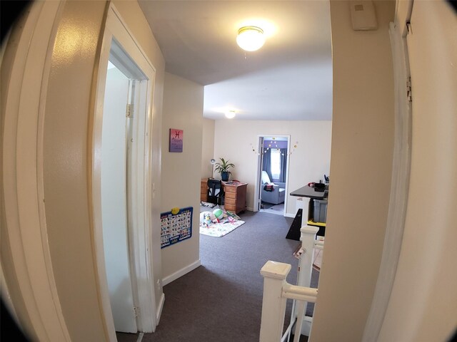 96-01 220th St, Queens Village, NY 11429 - photo 22