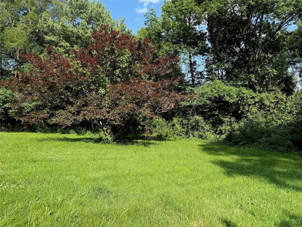 1001 County Route 12, Slate Hill, NY 10958 - view of grassy yard