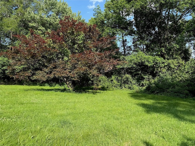 1001 County Route 12, Slate Hill, NY 10958 - view of grassy yard