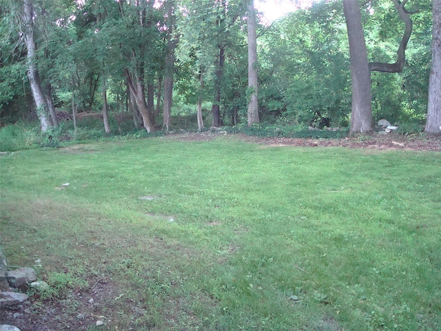 5 W Cottage Rd, Poughkeepsie, NY 12601 - view of green lawn