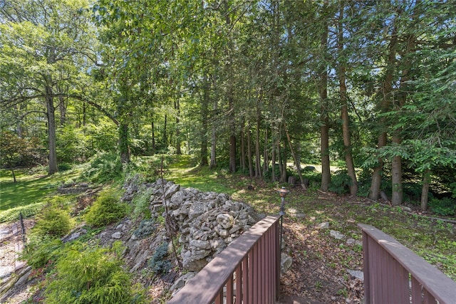 581 Wood Rd, Mahopac, NY 10541 - photo 37