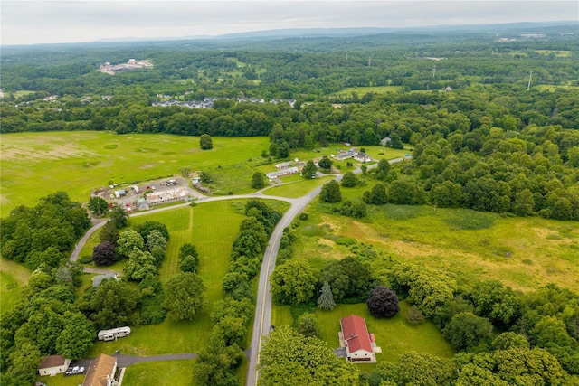 162 Airport Rd, New Hampton, NY 10958 - bird's eye view