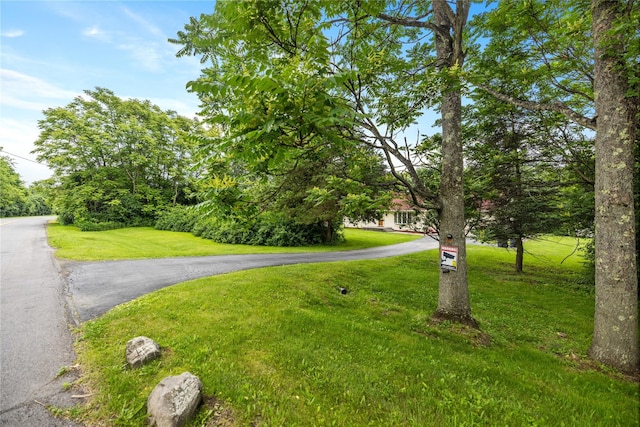 162 Airport Rd, New Hampton, NY 10958 - view of road