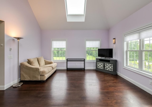 45 Jeffrey Dr, Pleasant Valley, NY 12569 - living area featuring plenty of natural light, a skylight, wood finished floors, and high vaulted ceiling
