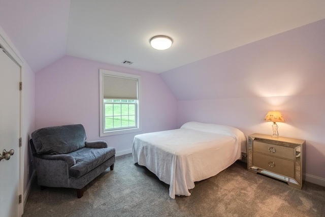 45 Jeffrey Dr, Pleasant Valley, NY 12569 - bedroom with lofted ceiling and dark colored carpet