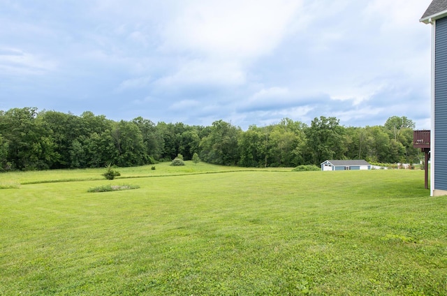 45 Jeffrey Dr, Pleasant Valley, NY 12569 - view of green lawn with a view of trees