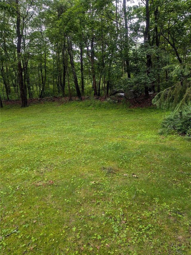 24 Delilah Ln, Plattekill, NY 12589 - view of yard