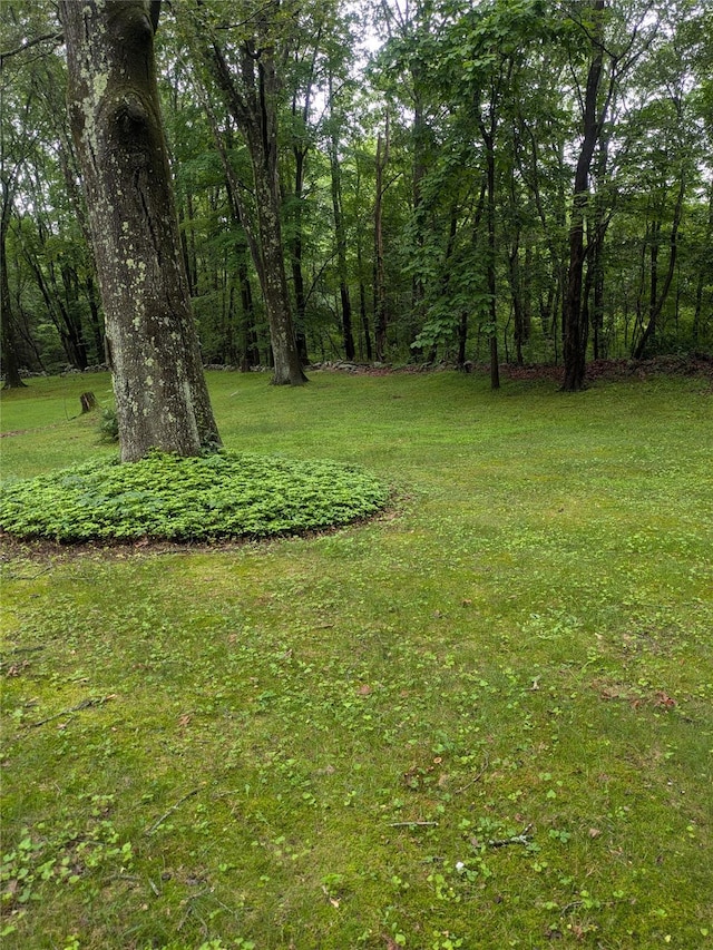 24 Delilah Ln, Plattekill, NY 12589 - view of grassy yard