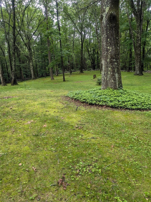 24 Delilah Ln, Plattekill, NY 12589 - view of grassy yard with a wooded view