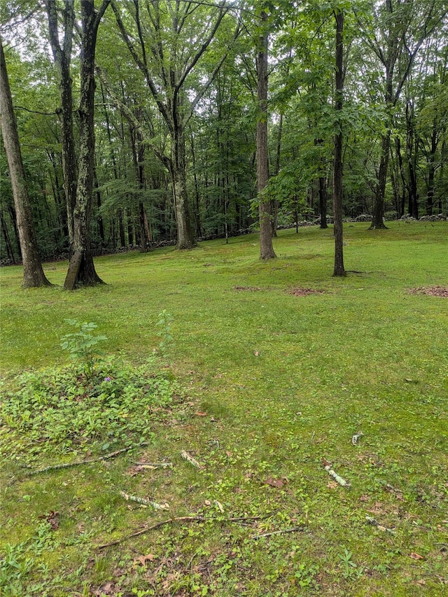 24 Delilah Ln, Plattekill, NY 12589 - view of green lawn with a wooded view